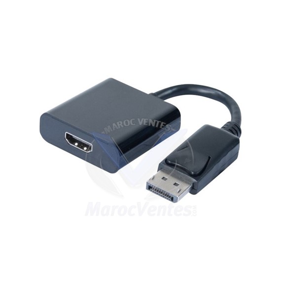 ADAPTATEUR DISPLAYPORT TO HDMI CONVERTER-20CM 127435