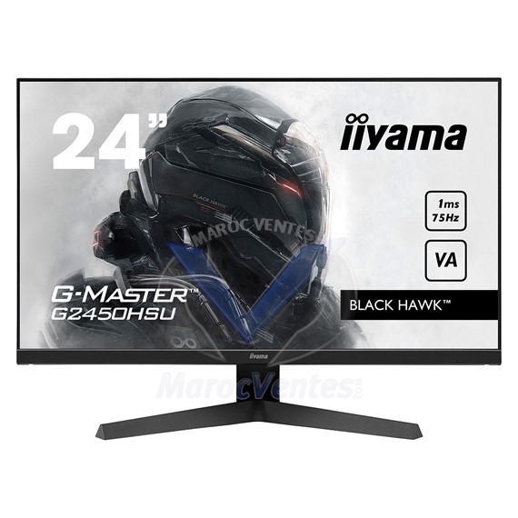 Moniteur Full HD 24" IIYAMA G-MASTER Black Hawk HDMI/DisplayPort Noir G2450HSU-B1