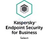 Endpoint Security for Business 1 year Base License KL48638APFS