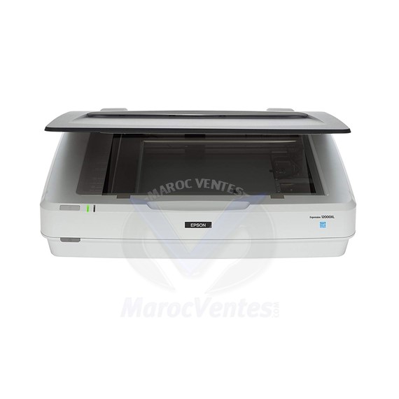 Scanner à plat Expression 12000XL DIN A3  2400 ppp x 4800 ppp USB 2.0 B11B240401