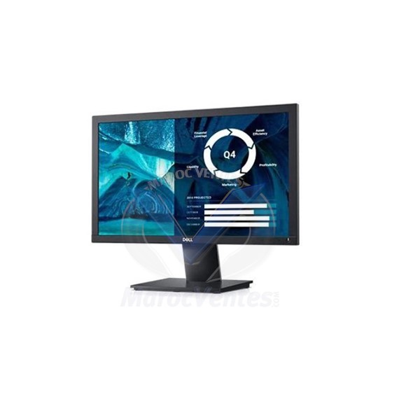 Ecran LED 20" 1600 x 900 DisplayPort VGA E2020H